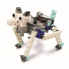 Robot chien